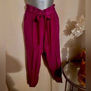 Haute Hippie magenta silk pants with tie drawstring waist sz S